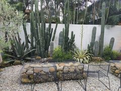-自由生长植物工作室(深港花卉中心店)