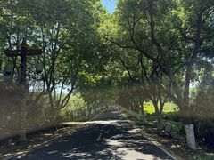 -宜兴龙背山森林公园