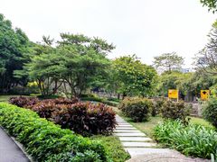 -晓港公园