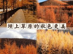 -丰宁坝上草原