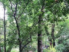-成都杜甫草堂博物馆