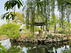 -无锡蠡湖国家湿地公园-蠡园