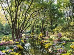 -上海海湾国家森林公园