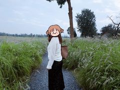 -汉长安城未央宫国家考古遗址公园