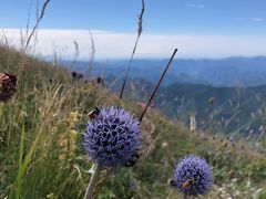 -白草畔自然风景区