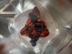 -HOWLULU蛋糕商店