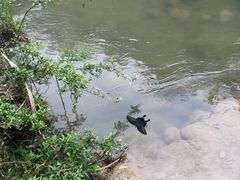 -郧西五龙河风景区