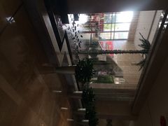 环球恐龙城维景国际大酒店-常州环球恐龙城维景国际大酒店
