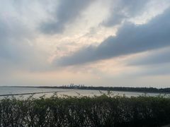 -贡湖湾湿地公园