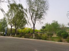 -丁香湖公园
