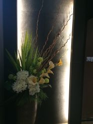 -史云逊养发中心