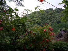-亦缘居私家别院
