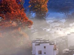 -婺源风景区