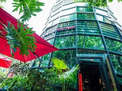 环境不错，店内很多植物-NLFS1983咖啡花园餐厅(锦桂店)