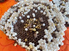 -红炎炎农家菜老字号(金水台店)