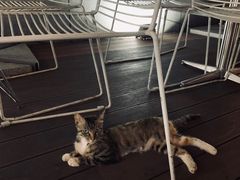 -UNI UNI(环亚凯瑟琳店)