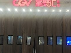 -CGV影城(红博中央公园IMAX店)