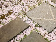 -江南大学(蠡湖校区)