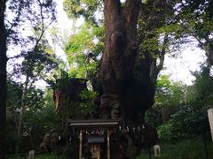 -来宫神社