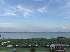 -七的湖·晚芳亭·阳澄湖农家菜·大闸蟹(莲花岛店)