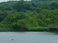 -西湖风景区-江洋畈生态公园