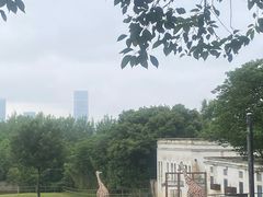 -合肥野生动物园