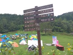 -武陵山森林公园