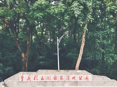 -重庆彩云湖湿地公园