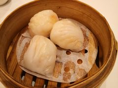 壹号虾饺皇-粤珍轩.创始店.始于2001(含光门店)