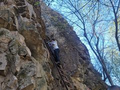 -玉泉威虎山森林公园