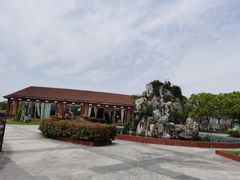 -上海都市菜园