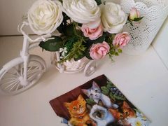 android_upload_pic-喵的天空名猫咖啡馆·撸猫·猫舍·用品