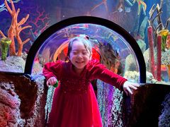 -沈阳海洋探索中心