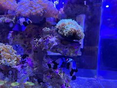-海合安青岛极地海洋公园