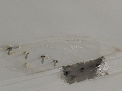-广州啄木鸟房屋防水补漏