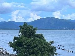 -深圳湾公园(南山区)