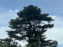 -秦岭终南山世界地质公园翠华山景区