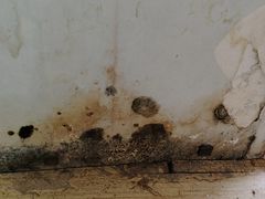 -红星美凯龙(山东全球家居1号店)