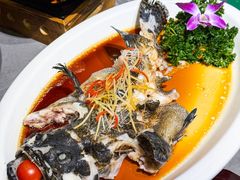 -云海肴·汽锅鸡·云南菜(南强街店)