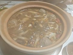 -菌小白火锅(时尚天河店)
