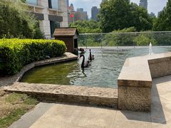 -行者书屋大堂吧 ·下午茶(南京圣和府邸酒店)