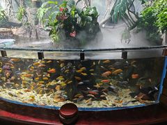 -太平洋海底世界