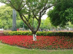 -七宝老街-闵行市民文化广场