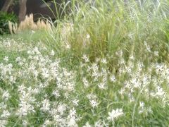 -BOCATA 西班牙餐厅(三里屯店)