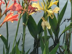 -乌鲁淡布隆国家公园
