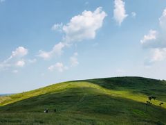 -恋山坝上草原