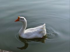 -杭州师范大学(下沙校区)