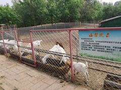 -第五季龙水凤港生态露营农场
