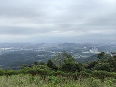 -黄埔油麻山森林公园