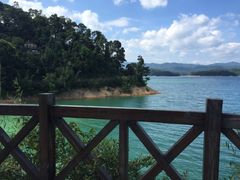 -广州市流溪河国家森林公园